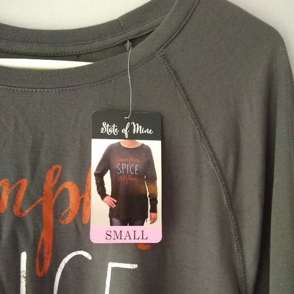 NEW State of Mine "Pumpkin Spice Everything" Long Sleeve T-Shirt Grey Small - Picture 4 of 7